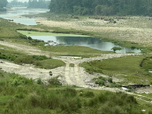 Photo Album: Chitwan Walkabout